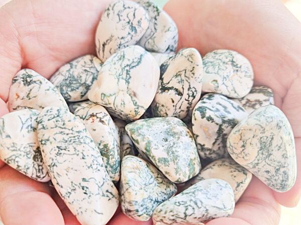 Tree Agate Tumble Stones