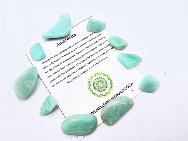 Amazonite Tumbled Stones Mini's 10s