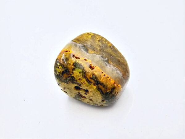 Bumble Bee Jasper Polished C (21.7g)