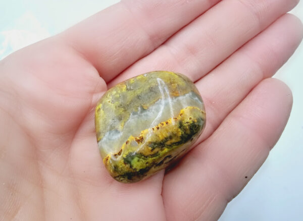 Bumble Bee Jasper Polished C (21.7g) - Image 2