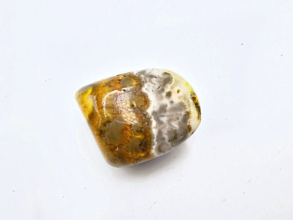 Bumble Bee Jasper Polished F (16.3g)