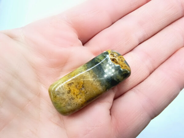 Bumble Bee Jasper Polished (15.15g)