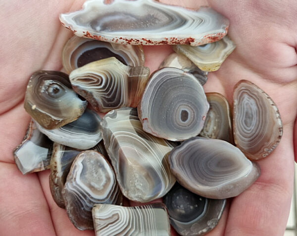 Mini Agate Crystal Slices (2-4cm)