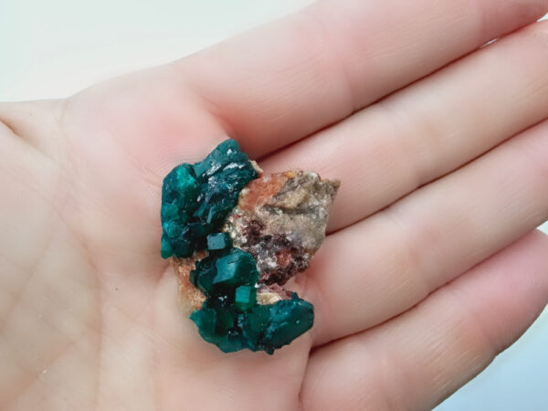 Dioptase Specimen O (10.9g) - Image 2