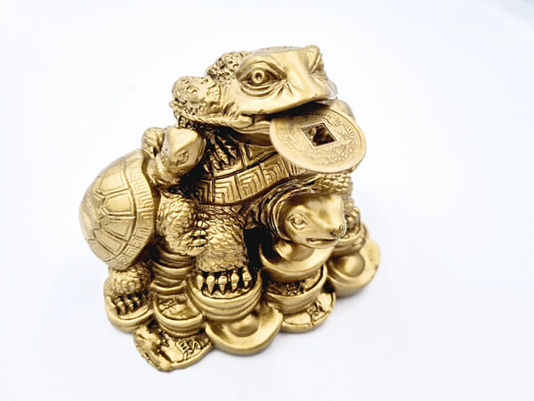 Gold Money Frog With Tortoises