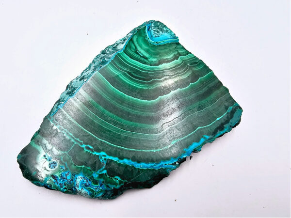 Malacolla Slice Polished (120g) - Image 2