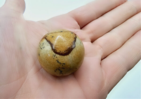 Picture Jasper Sphere (11cm Circumference) Dendritic  Markings