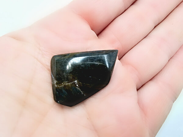 Pietersite Cabochon  H (5.95g)