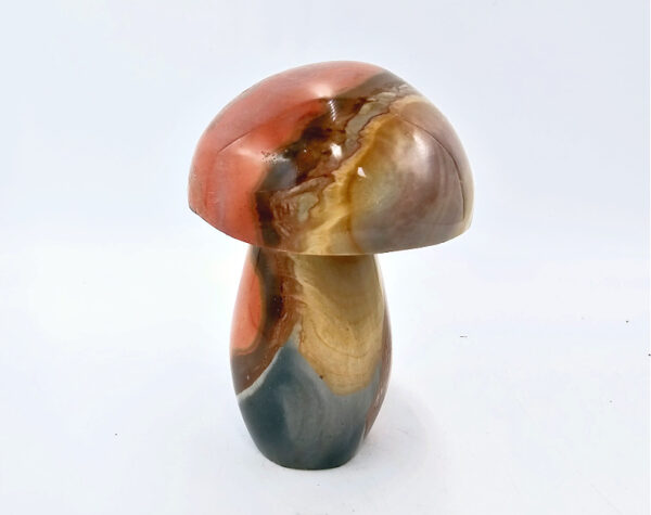 Polychrome Jasper Polished Mushroom A (436g)