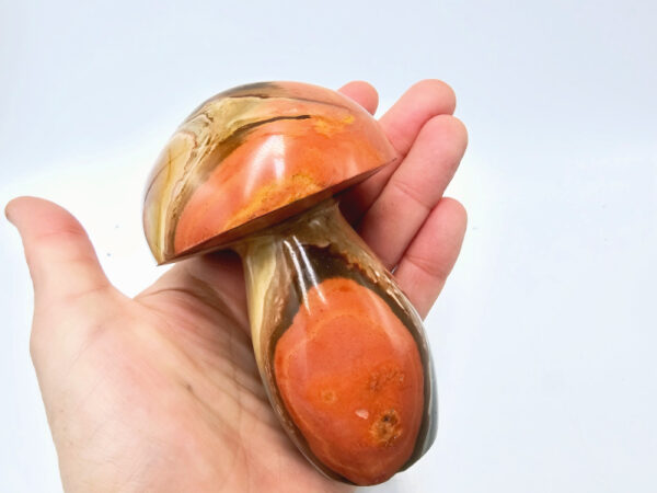 Polychrome Jasper Polished Mushroom A (436g) - Image 2