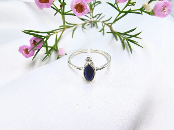 Lapis Lazuli Diamond With Circles Ring (925 Silver)