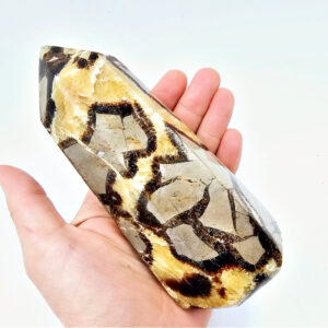 Septarian Polished Point, septarian, polished, point, snake skin, New Zealand