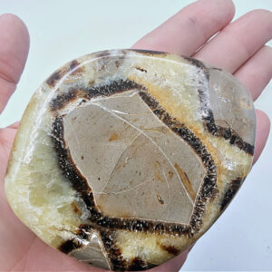 septarian slice, crystal, polished, brown with a bit of yellow, snakes skin, known as dragons egg