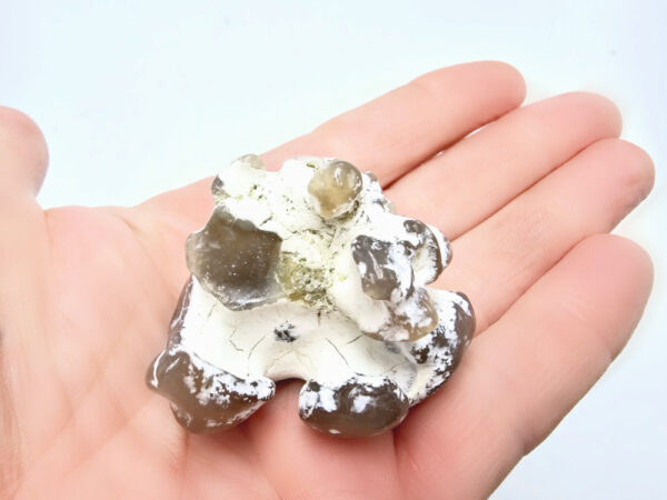 Snakeskin Agate G (41.3g)