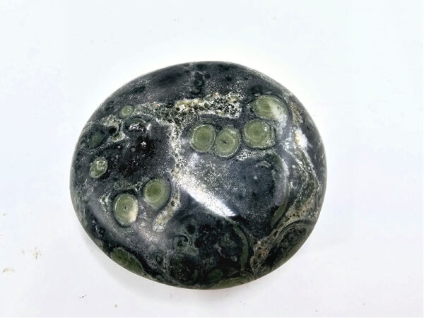 Kambaba Jasper Palm Stone F (149g)