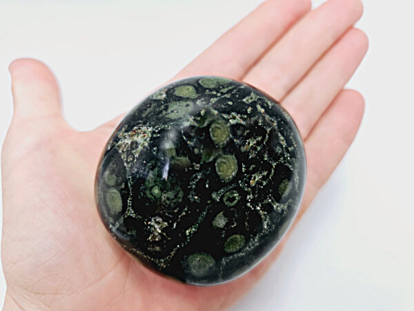 stormatolite kambala jasper palm stone, crystal, polished, black and green