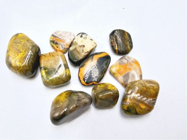 Bumble Bee Jasper Tumble Stones