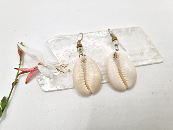 Cowrie Earrings