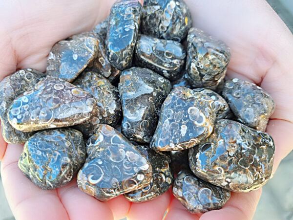 Turitella Agate tumble stones