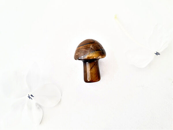 *Mini Tigers Eye Mushroom (2cm)