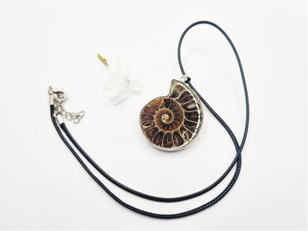 Ammonite Necklace (Strength & Stability) - Image 2