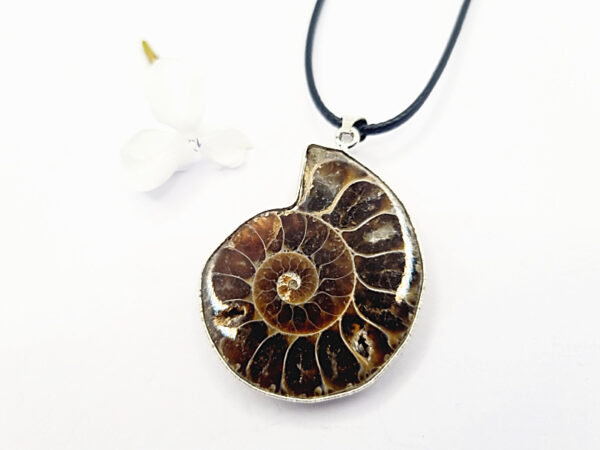 Ammonite Necklace (Strength & Stability)