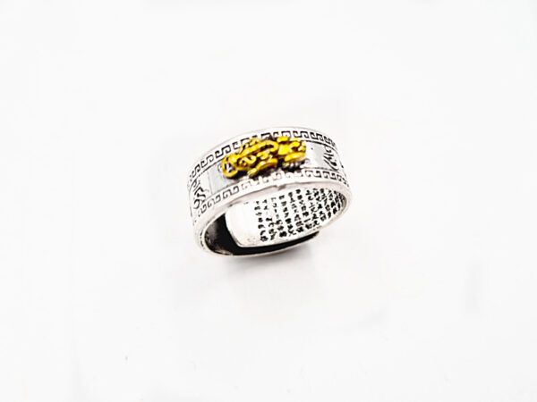 Pi Xiu Feng Shui Ring