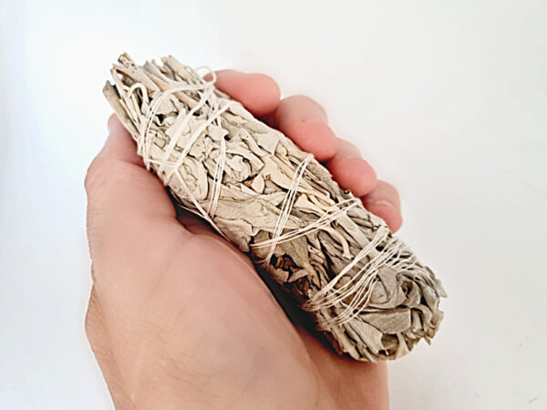 Californian White Sage Smudge Stick (11CM) - Image 2