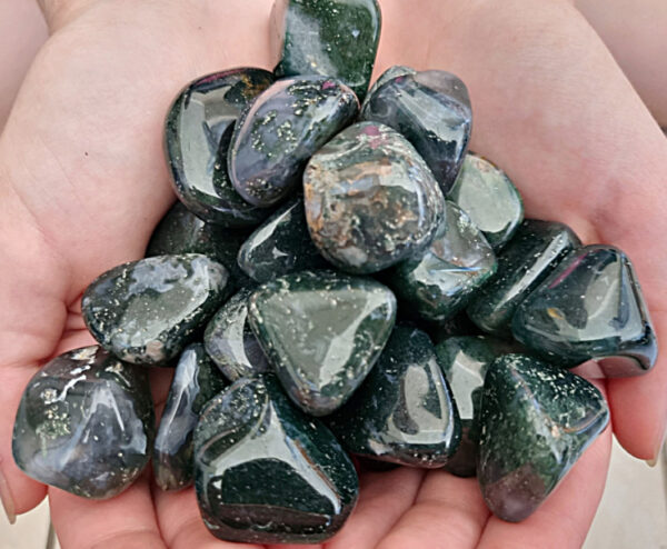 Moss Agate Tumble Stones