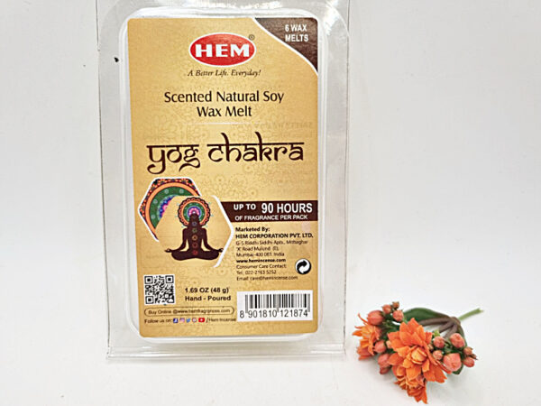 Hem Soy Yogi Chakra Wax Melts (6s)