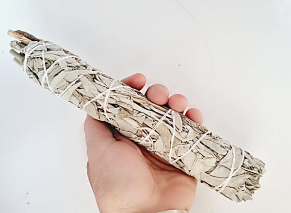 Californian White Sage Smudge Stick XL (22CM) - Image 2