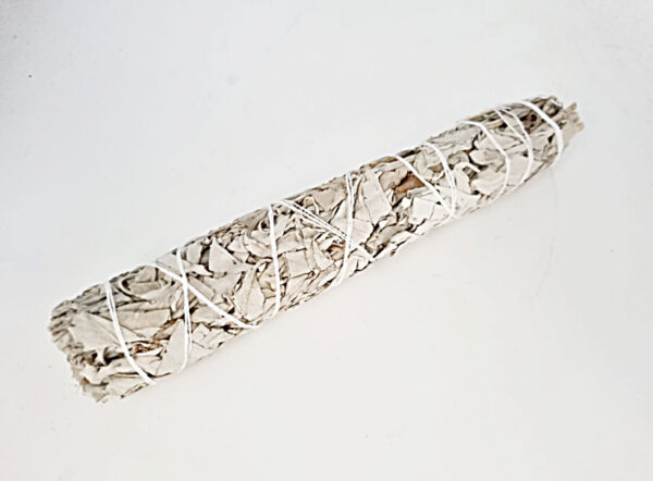 Californian White Sage Smudge Stick XL (22CM)