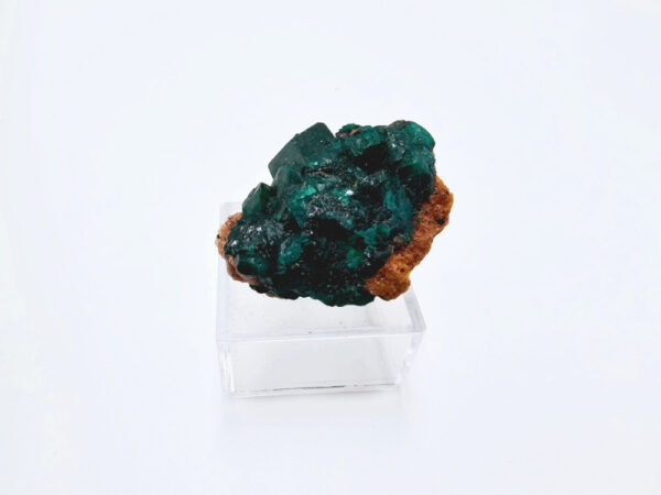 Dioptase Specimen U (11.36)