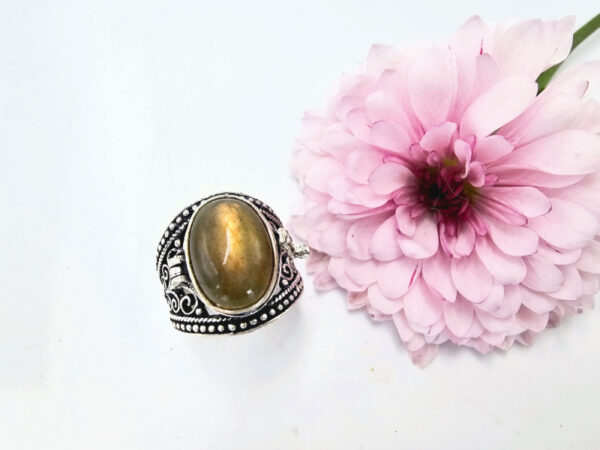 Labradorite Poison Ring (opens)