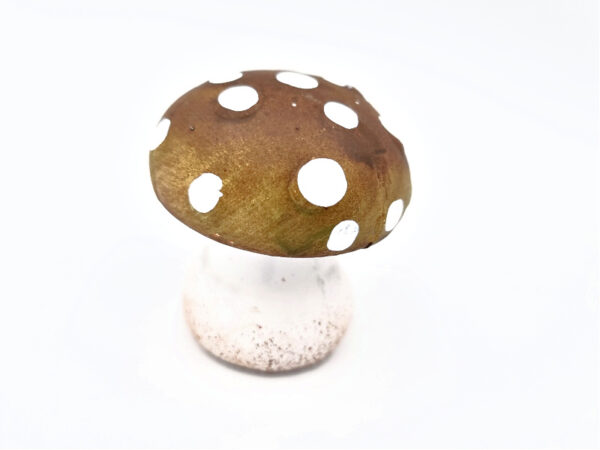 Brown & Green Mushroom