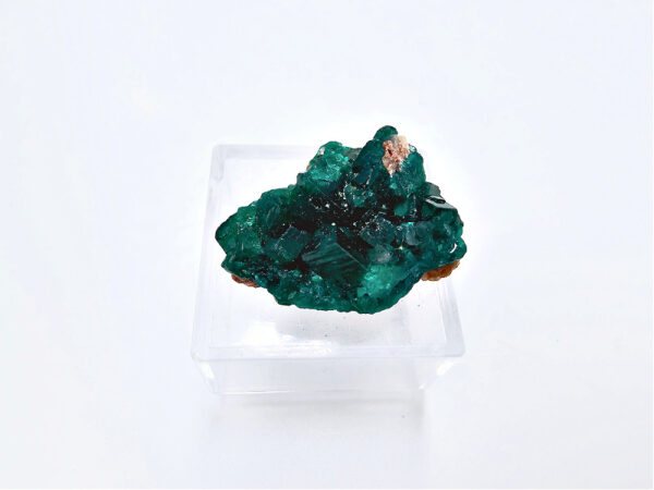 Dioptase Specimen T (4.3g)