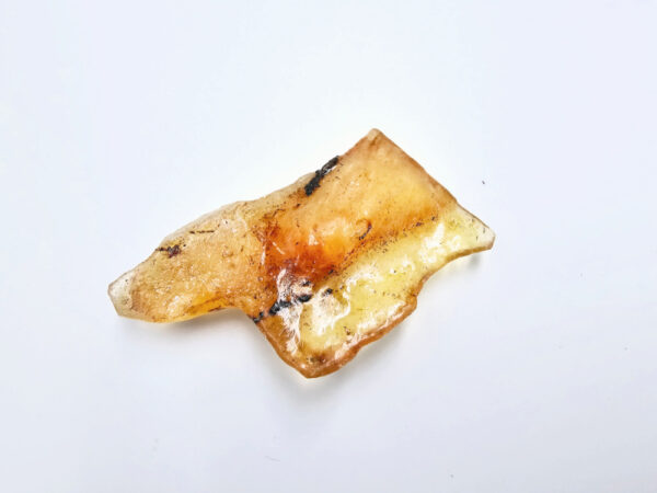 Natural Honey Gold Copal Amber Specimen R (RARE) 2.7g