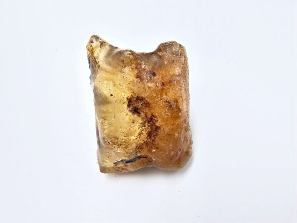 Natural Honey Gold Copal Amber Specimen T (RARE) 6.3g