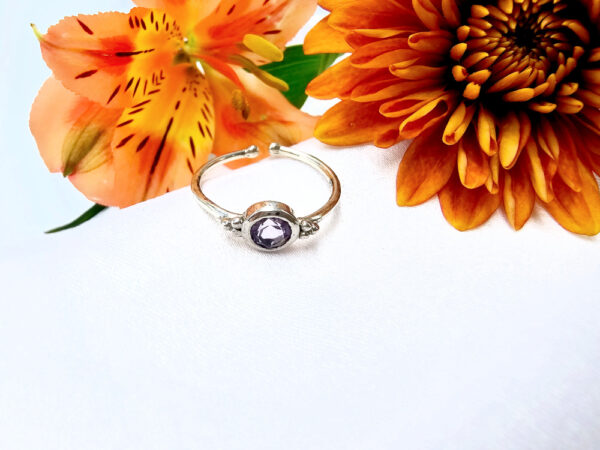 Amethyst Ring Round & Circles A (925 Silver)