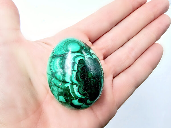 Green Malachite Polished Egg C (116g)