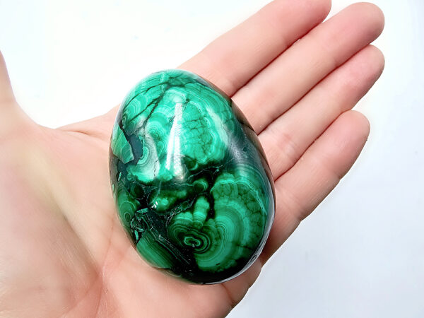 Green Malachite Polished Egg I (244g)