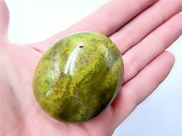 Green Opal Palm Stone A RARE (92g)