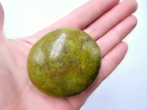 Green Opal Palm Stone D (106g) Rare