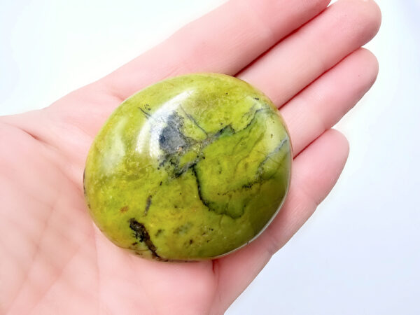 Green Opal Palm Stone E (114g) Rare