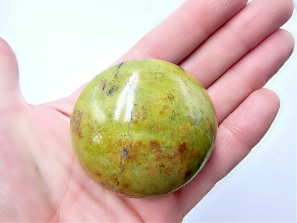 Green Opal Palm Stone F (112g) Rare