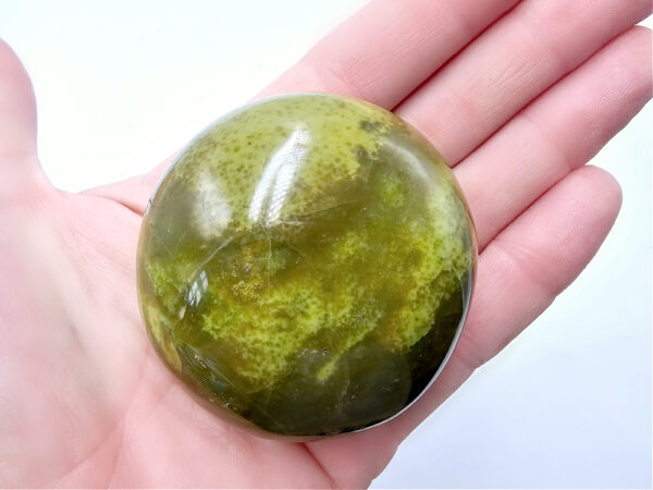 Green Opal Palm Stone H (136g) Rare