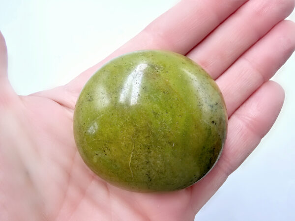 Green Opal Palm Stone I (96g) Rare