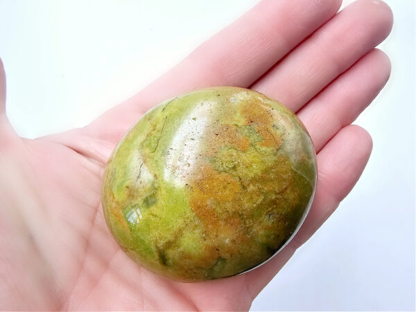 Green Opal Palm Stone J (108g) Rare