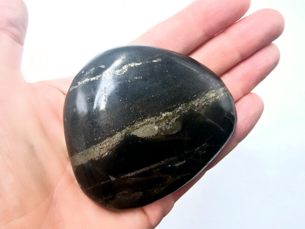 Pharaoh Palm Stone B (218g)