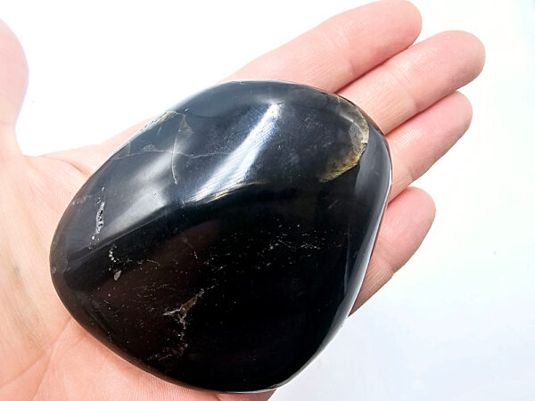 Pharaoh Palm Stone E (214g)